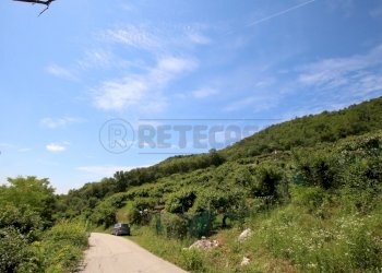 IMG_4236.JPG - Agricultural land Via Castellaro, Castegnero - photo 16