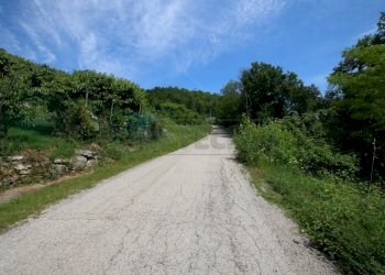 IMG_4224.JPG - Agricultural land Via Castellaro, Castegnero - photo 17