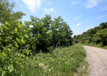 IMG_4237.JPG - Agricultural land Via Castellaro, Castegnero - photo 18