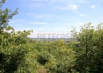 IMG_4226.JPG - Agricultural land Via Castellaro, Castegnero - photo 19