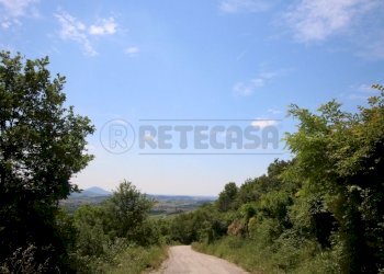 IMG_4239.JPG - Agricultural land Via Castellaro, Castegnero - photo 20