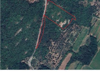 Terreno imm. satellite.png - Agricultural land Via Castellaro, Castegnero - photo 22