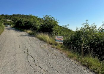 8c30f4fb-ed11-40d6-aad5-4e15e6eadcda.jpeg - Agricultural land Via Castellaro, Castegnero - photo 2