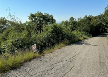 bcdb3cf9-e2b2-489c-b541-afc71e0ec697.jpeg - Agricultural land Via Castellaro, Castegnero - photo 23