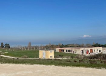 IMG_9489.jpg - Terreno edificabile Via del Miracolo 2, Magione - foto 2