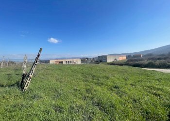 IMG_9490.jpg - Terreno edificabile Via del Miracolo 2, Magione - foto 3