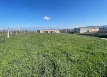 IMG_9491.jpg - Terreno edificabile Via del Miracolo 2, Magione - foto 4