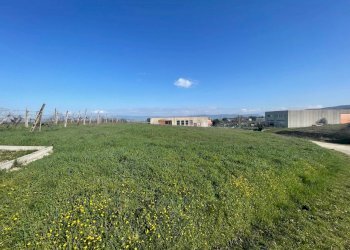 IMG_9492.jpg - Terreno edificabile Via del Miracolo 2, Magione - foto 5