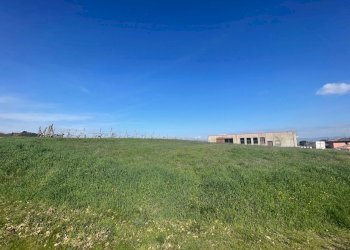 IMG_9493.jpg - Terreno edificabile Via del Miracolo 2, Magione - foto 6