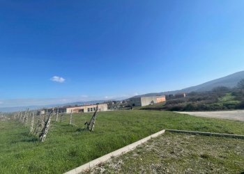 IMG_9495.jpg - Terreno edificabile Via del Miracolo 2, Magione - foto 8