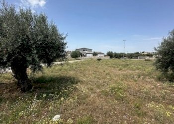 IMG_1590.jpg - Magazzino SP96 2, Modica - foto 23