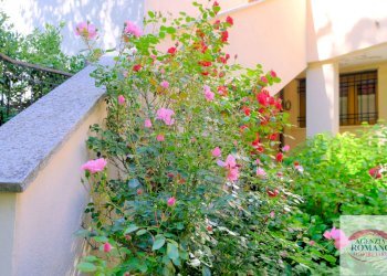 Rif 1532(Copy20).jpg - Trilocale Localita' Molana 27, Sassello - foto 4