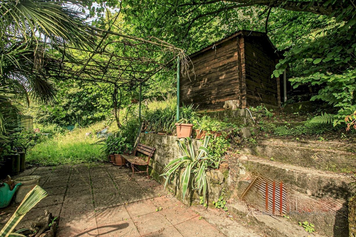 pergolato - Appartamento Salita Castrofino, Genova - foto 1