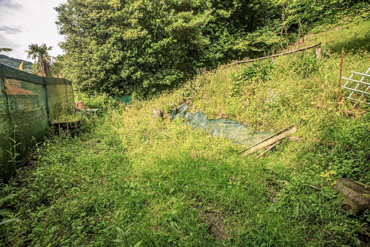 giardino - Appartamento Salita Castrofino, Genova - foto 3