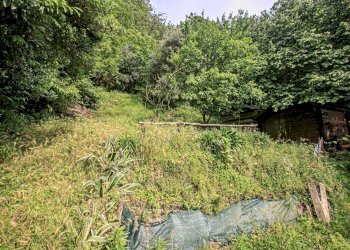 giardino - Appartamento Salita Castrofino, Genova - foto 4