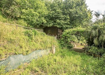 giardino - Appartamento Salita Castrofino, Genova - foto 5