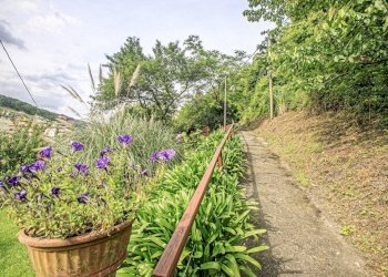 giardino - Appartamento Salita Castrofino, Genova - foto 30