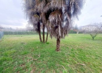 4 - Terreno edificabile via Aldo Moro, Caronno Varesino - foto 4