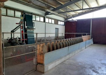 Capannone - Rustico Regione Goretta, Cessole - foto 6