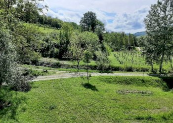 Terreno - Rustico Regione Goretta, Cessole - foto 24