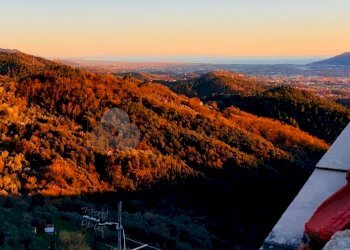 WhatsApp Image 2024-06-04 at 17.36.45.jpeg - Quadrilocale via della Chiesa snc, Santo Stefano di Magra - foto 2