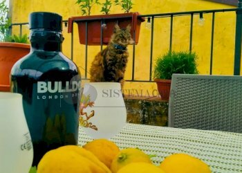 1 (1).jpeg - Quadrilocale via della Chiesa snc, Santo Stefano di Magra - foto 20