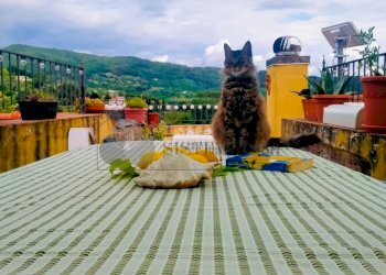 1 (2).jpeg - Quadrilocale via della Chiesa snc, Santo Stefano di Magra - foto 21