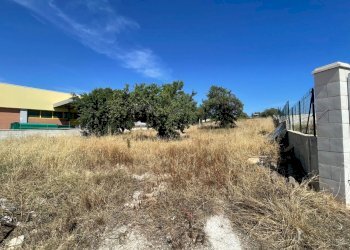 IMG_2692.jpg - Terreno edificabile Via Caduti di Nassirya, Pozzallo - foto 1