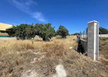 IMG_2693.jpg - Terreno edificabile Via Caduti di Nassirya, Pozzallo - foto 2