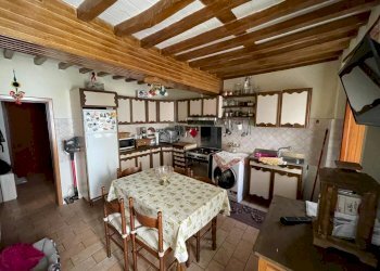 PHOTO-2024-06-04-16-24-48 6.jpg - Terratetto - Terracielo Seravezza - foto 6