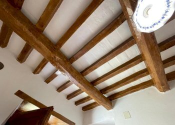 PHOTO-2024-06-04-16-24-48.jpg - Terratetto - Terracielo Seravezza - foto 9