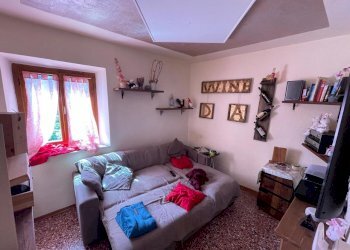 PHOTO-2024-06-04-16-24-48 18.jpg - Terratetto - Terracielo Seravezza - foto 15