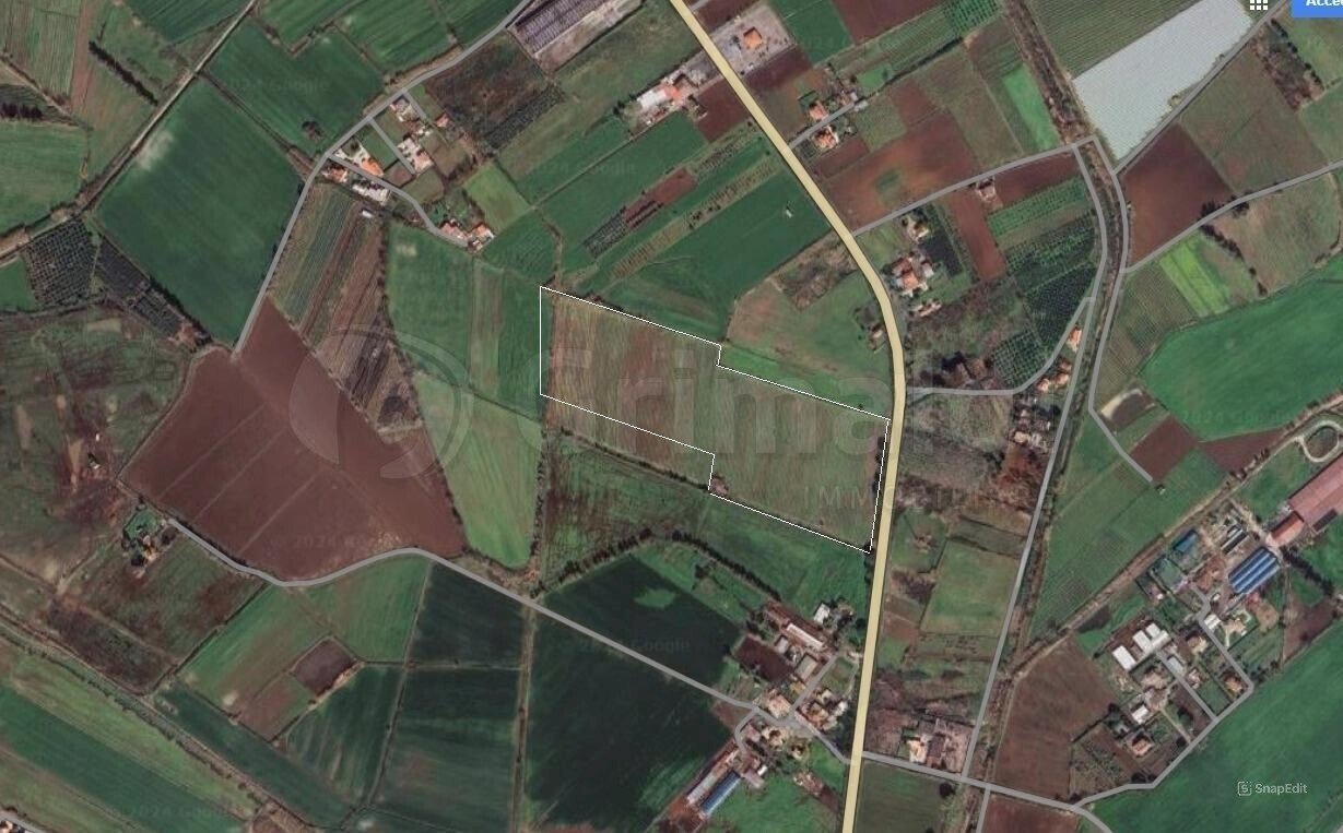 Foto.JPG - Terreno agricolo Cellole - foto 1