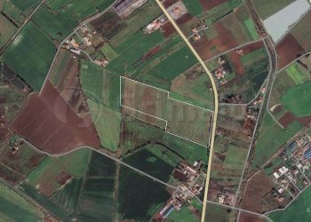 Foto.JPG - Terreno agricolo Cellole - foto 1