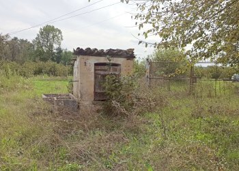 Cascina Frazione San Grato, Piozzo - foto 19