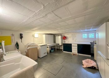 Villa Unifamiliare Russi - foto 43