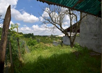 Terreno - Rustico via Collina Forni, Montaldo Scarampi - foto 37