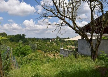 Terreno - Rustico via Collina Forni, Montaldo Scarampi - foto 38