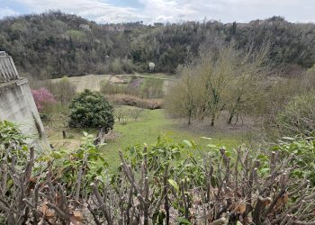 Rustico via Collina Forni, Montaldo Scarampi - foto 43