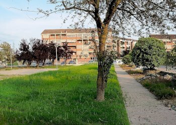 GIARDINO COMUNE - Bilocale Via Fornaci 45, Settimo Torinese - foto 17