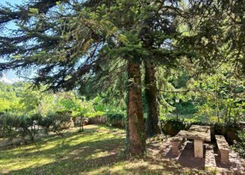 IMG-20240604-WA0005.jpg - Porzione di casa Aulla - foto 30