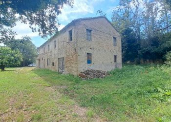 IMG-20240523-WA0018.jpg - Casale Pesaro - foto 3