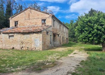 IMG-20240523-WA0011.jpg - Casale Pesaro - foto 4