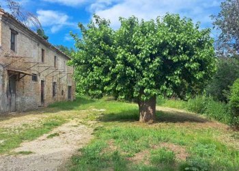 IMG-20240523-WA0013.jpg - Casale Pesaro - foto 6