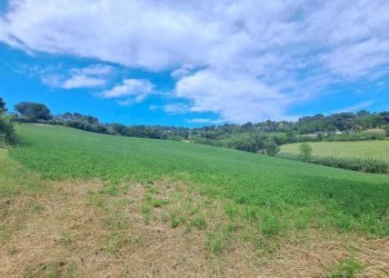 IMG-20240523-WA0008.jpg - Casale Pesaro - foto 7