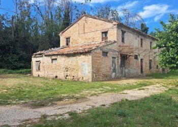 IMG-20240523-WA0012.jpg - Casale Pesaro - foto 9