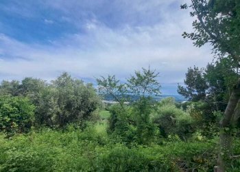 IMG-20240523-WA0014.jpg - Casale Pesaro - foto 10