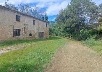 IMG-20240523-WA0016.jpg - Casale Pesaro - foto 11