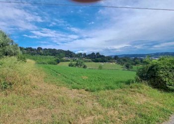 IMG-20240523-WA0020.jpg - Casale Pesaro - foto 14