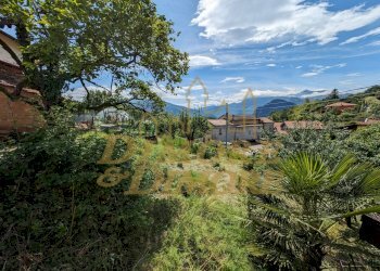 Giardino.jpg - Porzione di casa Via dei Gigli 2, San Bernardino Verbano - foto 4
